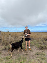 gibby_the_goat